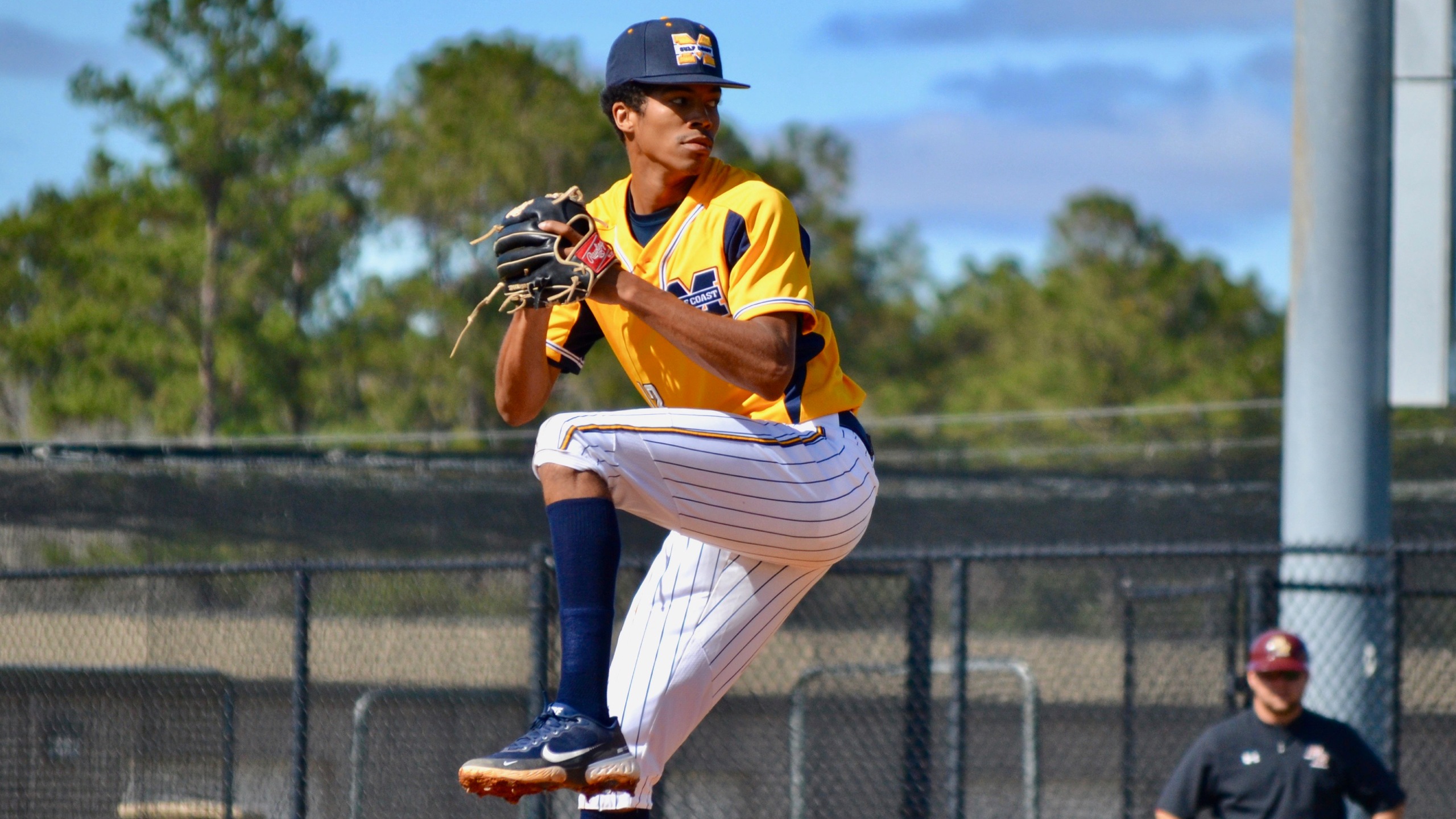 Bulldogs tame Tigers