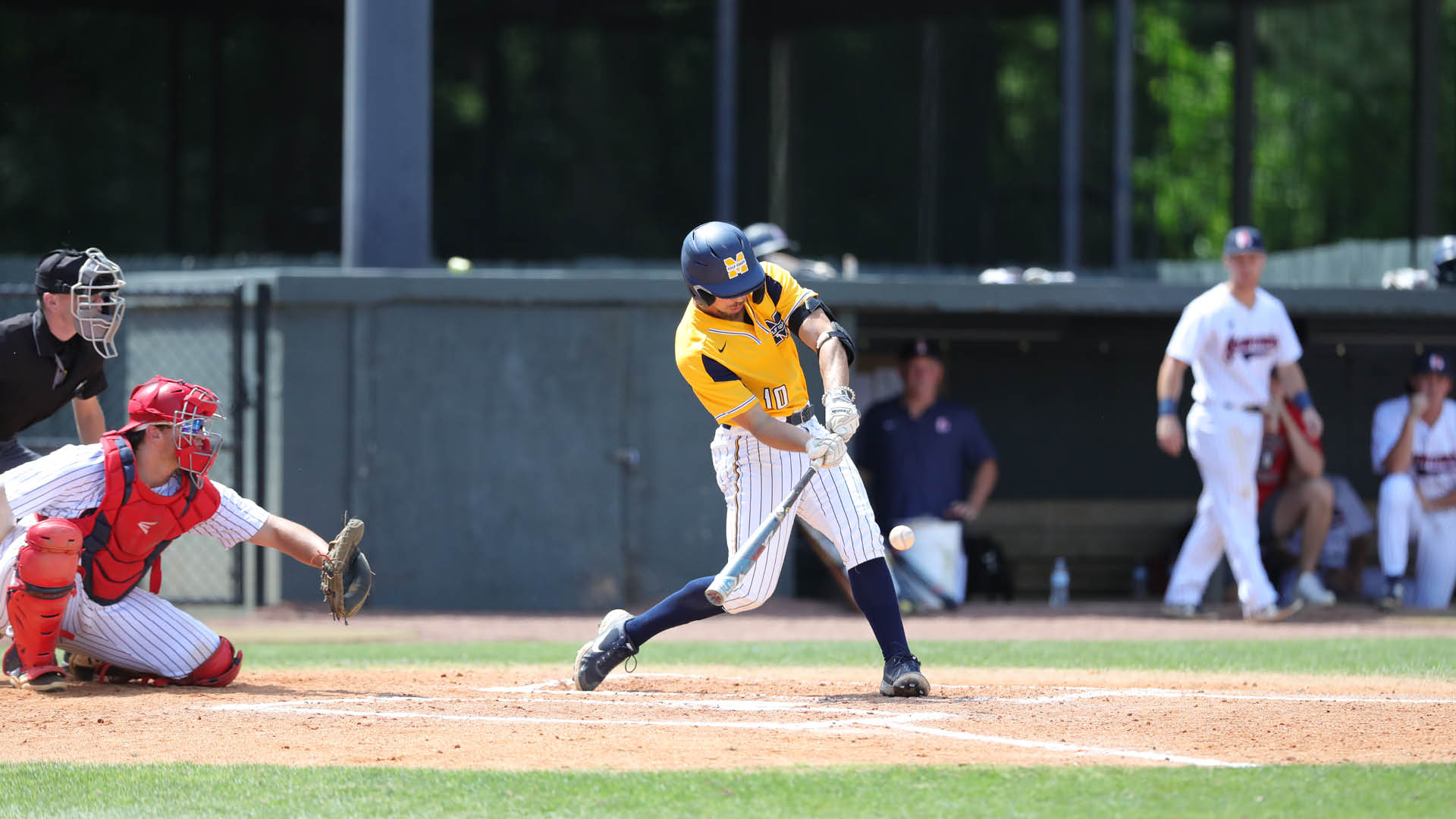 Bulldogs end season at ICC