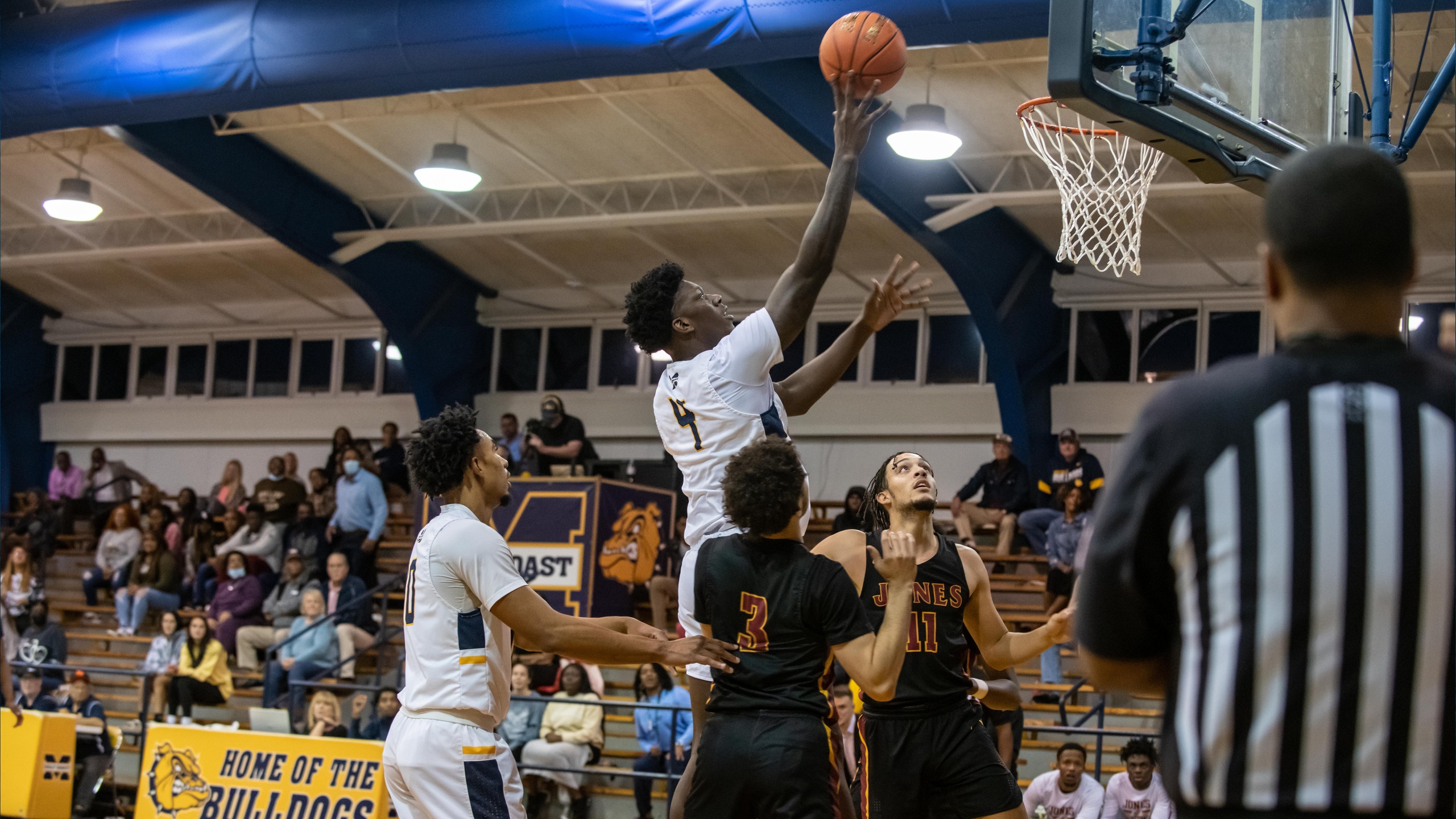 Flenor's giant game not enough for Bulldogs