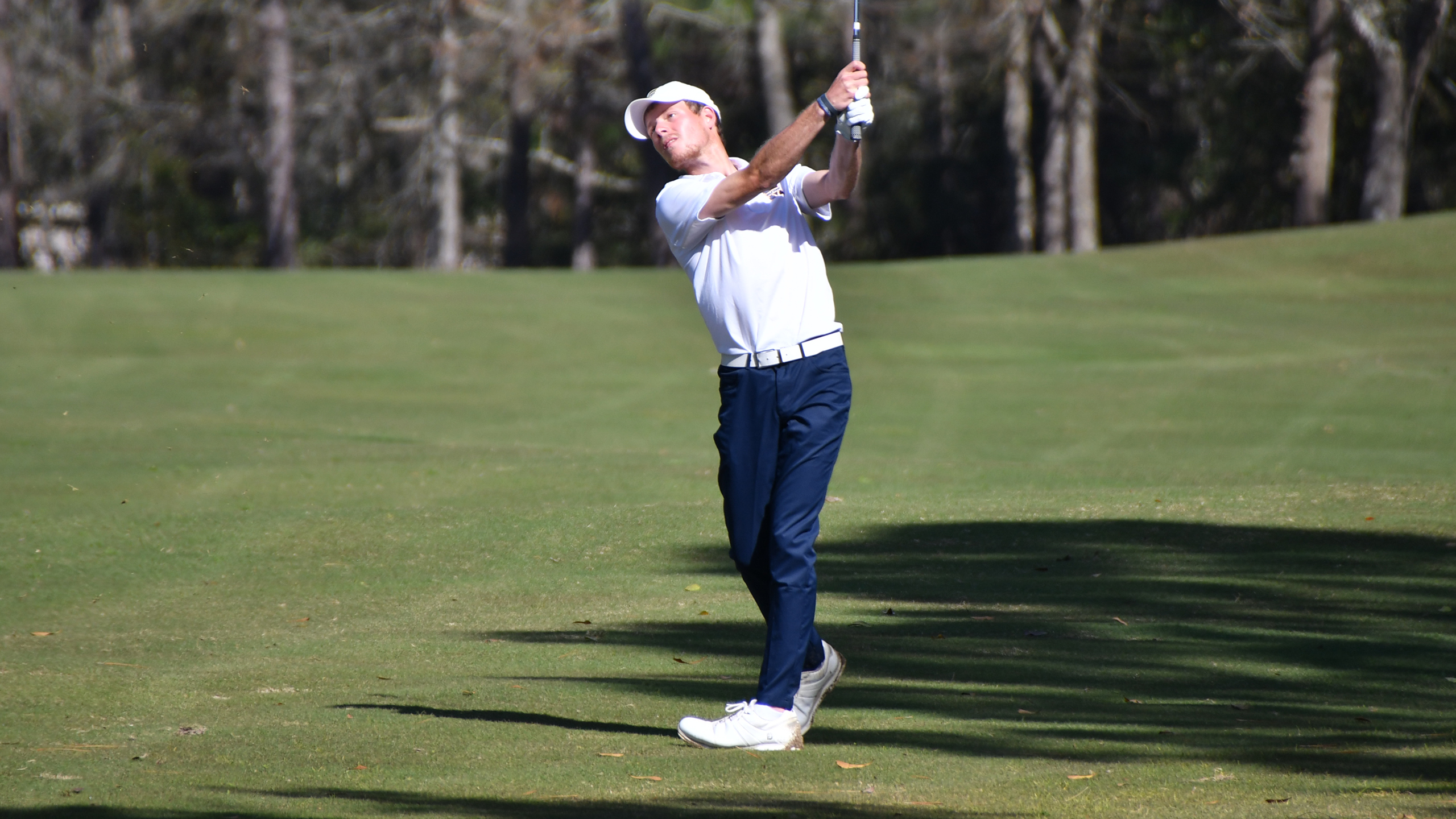 No. 2 Bulldogs shooting for records