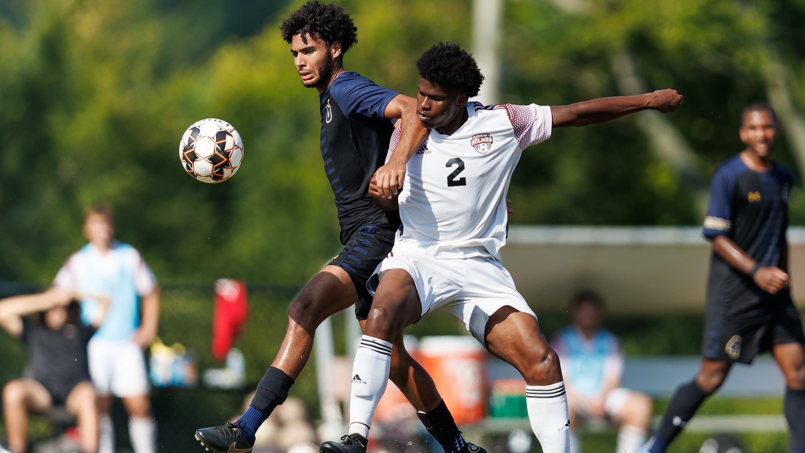 Bulldogs aim to stay unbeaten in MACCC