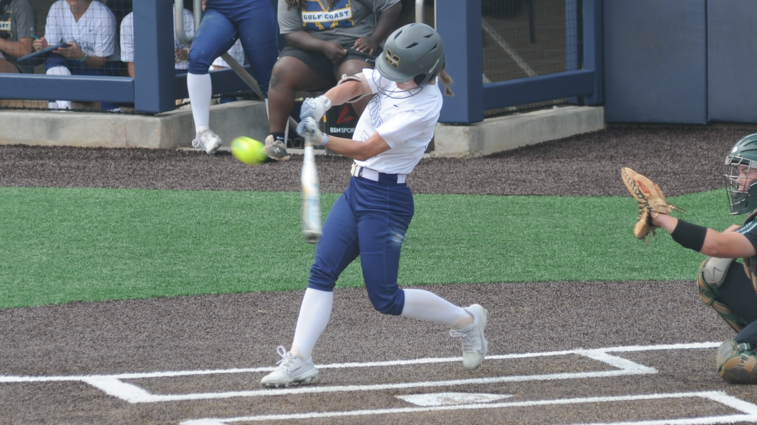 Gulf Coast swamps Meridian
