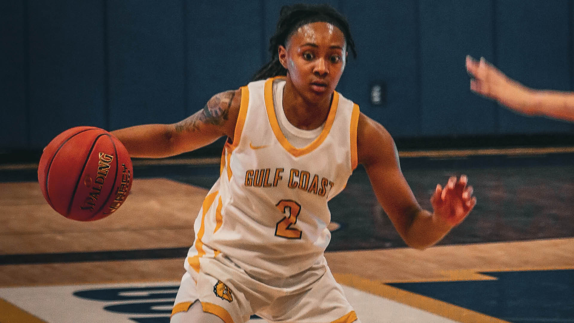 Bulldogs explode past Dolphins