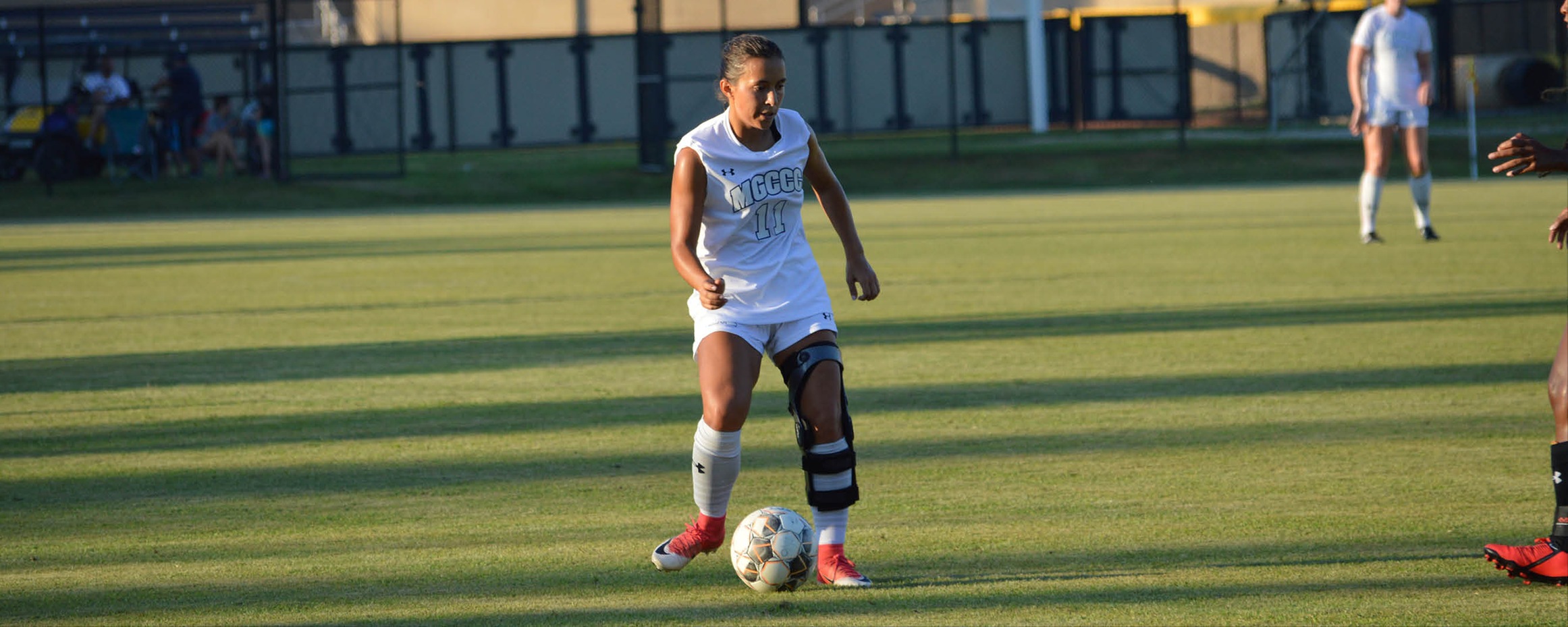 Bulldogs battle Bears at Perk