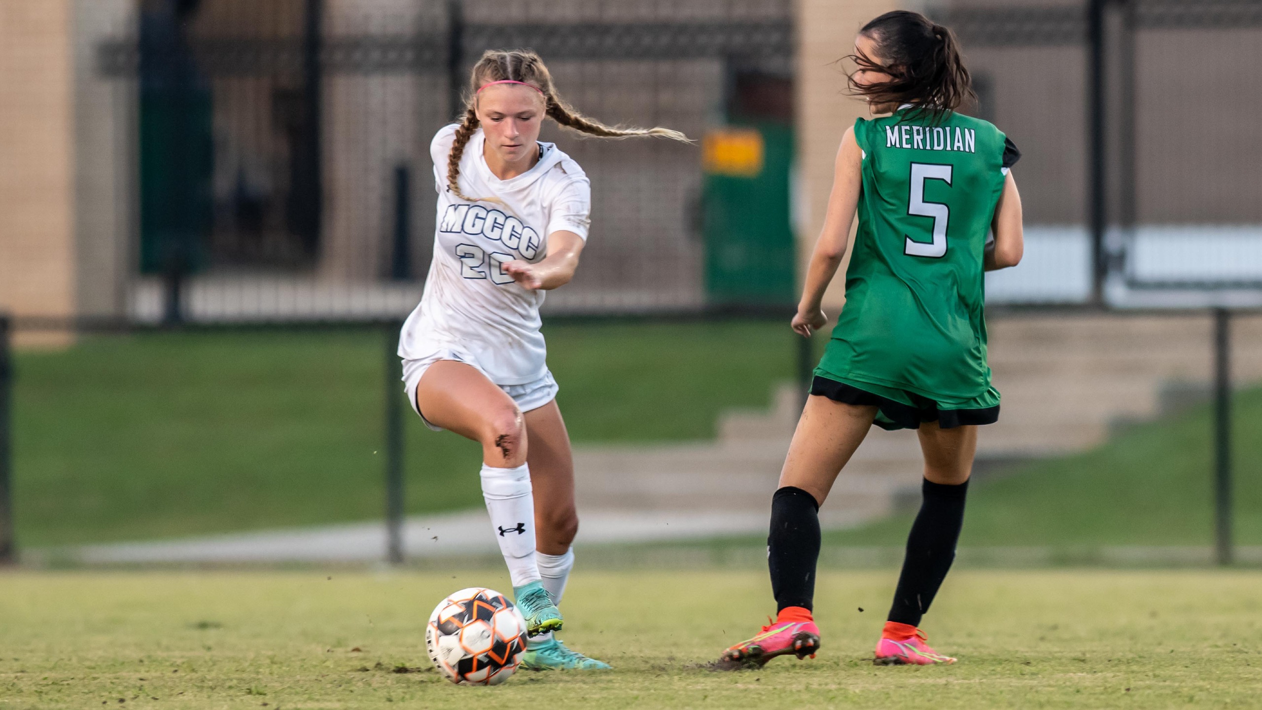 Bulldogs draw with Bears