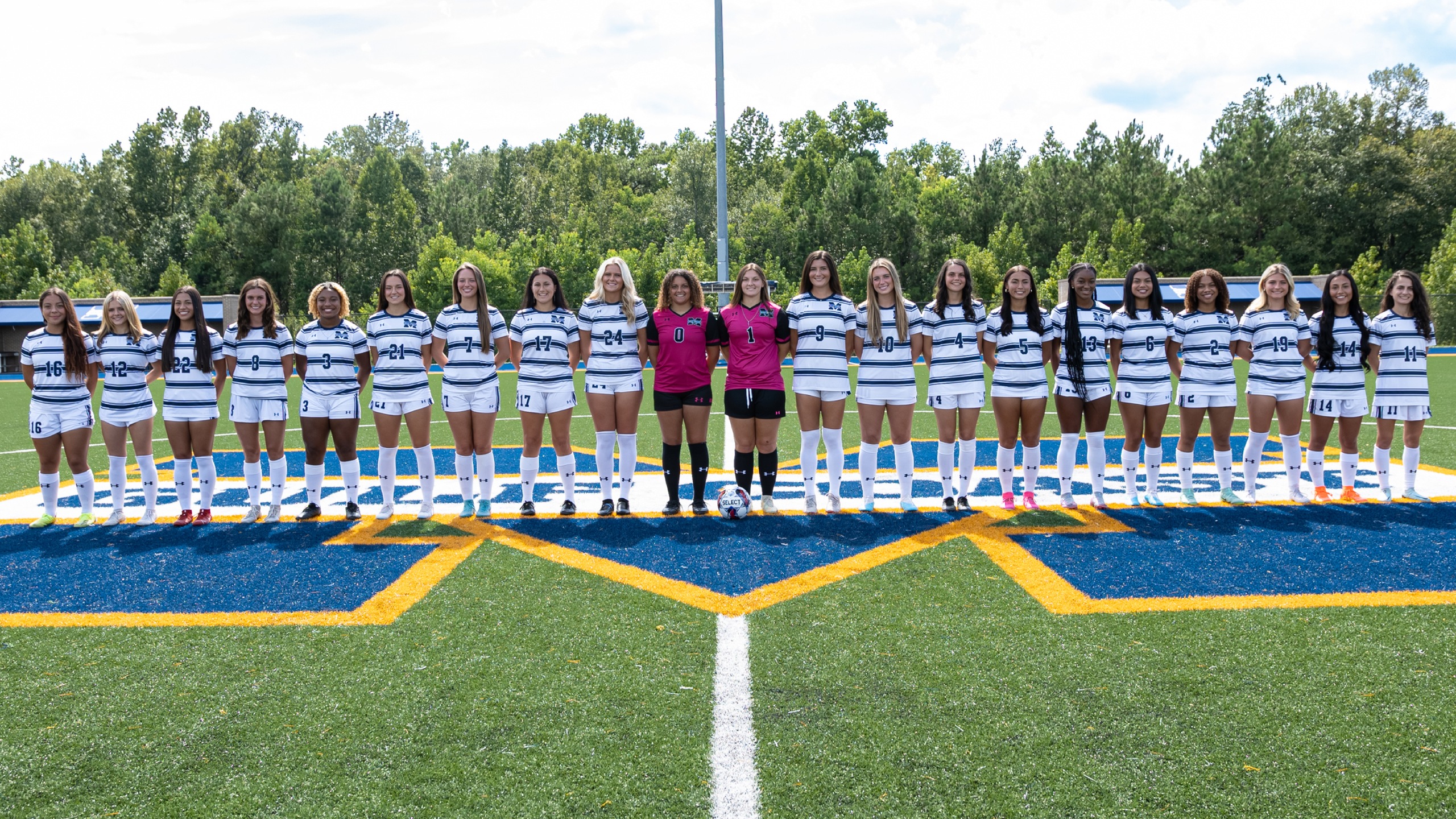Bulldogs host No. 1 Holmes